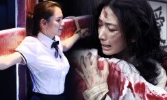 精品一区二区在线播放
